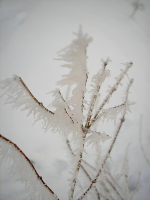 2010_12_18%20Frostlandschaft%20(33)