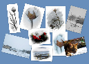 Collage%20Winter%202010